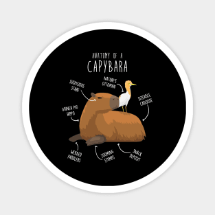 Capybara Anatomy Magnet